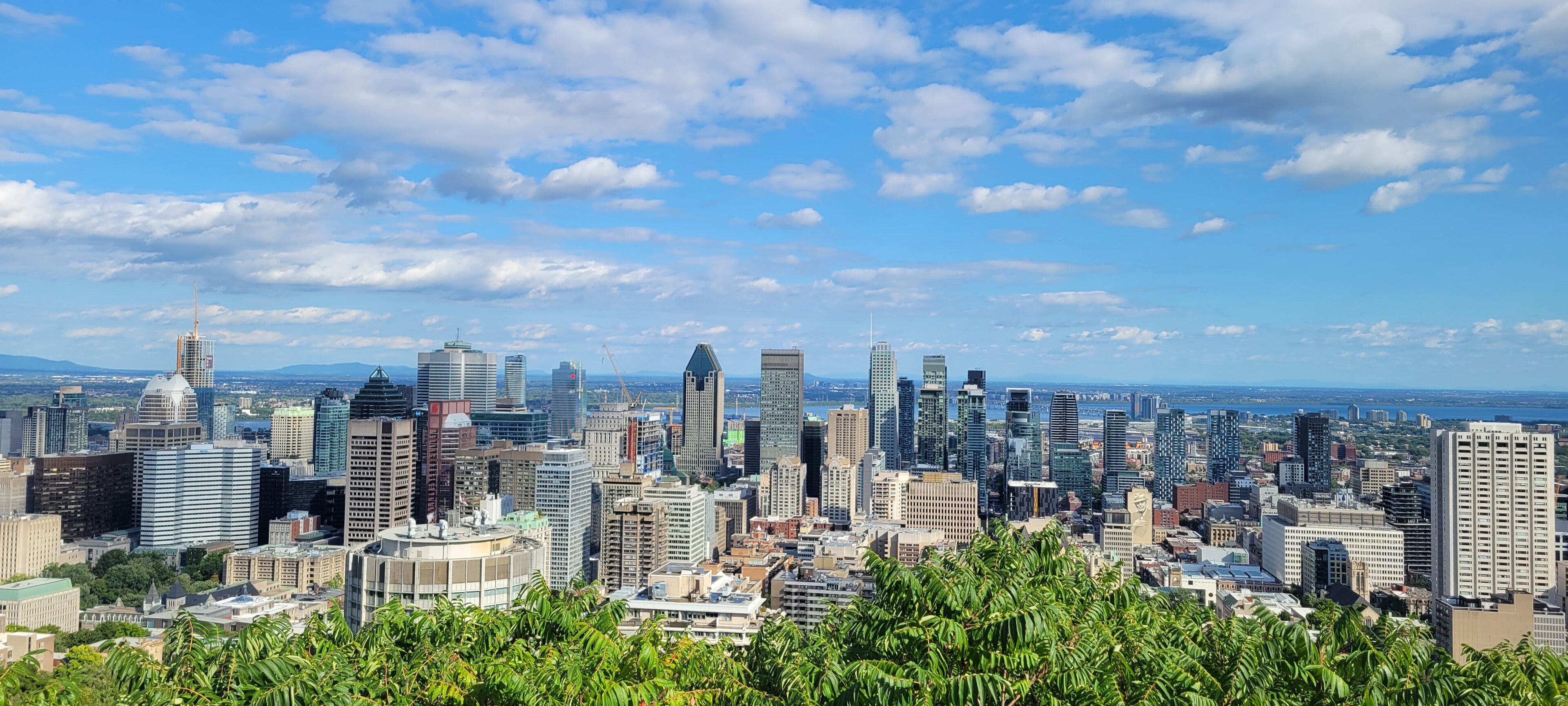 Downtown Montréal viewed from Mount Royal